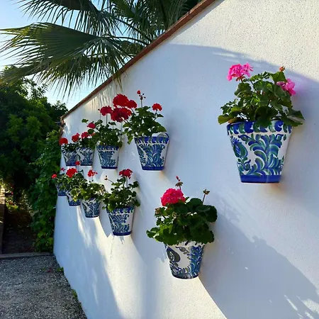 Picaflor Semesterbostad Málaga